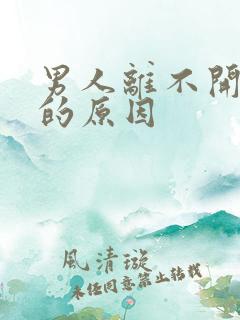 男人离不开女人的原因