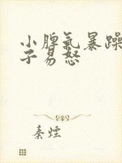 小脾气暴躁的孩子易怒