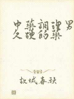 中药调理男人持久硬的药