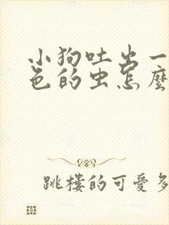 小狗吐出一条白色的虫怎么办?