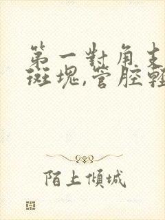 第一对角支钙化斑块,管腔轻度狭窄