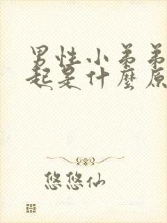 男性小弟弟硬不起是什么原因