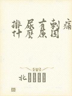 排尿有刺痛感是什么原因