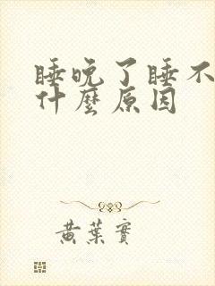 睡晚了睡不着是什么原因