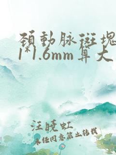 颈动脉斑块5.1*1.6mm算大吗