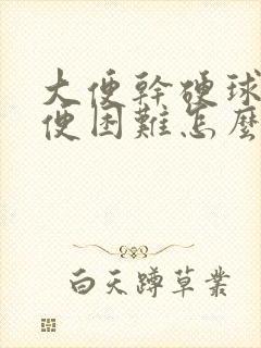 大便干硬球状排便困难怎么办