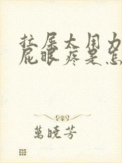 拉屎太用力然后屁眼疼是怎么回事