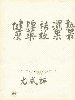 健脾祛湿热吃什么药效果最好