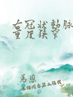 右冠状动脉近段重度狭窄