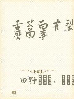 舌苔白有裂纹怎么回事