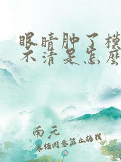 眼睛肿了模糊看不清是怎么回事