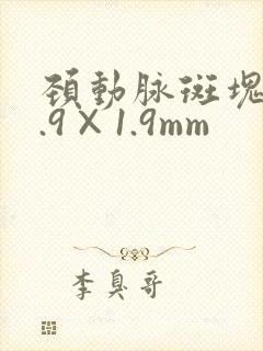 颈动脉斑块10.9×1.9mm