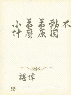 小弟弟勃不起来什么原因