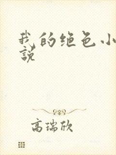 我的绝色小姨小说