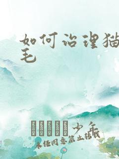 如何治理猫咪掉毛