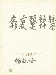 左右颈动脉斑块形成是什么原因