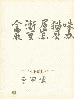 金渐层猫咪掉毛严重怎么办