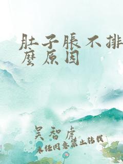 肚子胀不排便什么原因