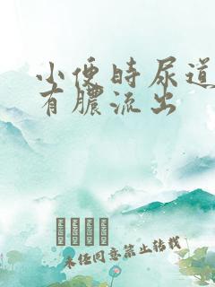 小便时尿道刺痛有脓流出