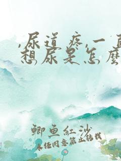 ,尿道疼,一直想尿是怎么回事