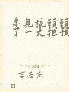 梦见梳头头发掉了一大把预示着什么