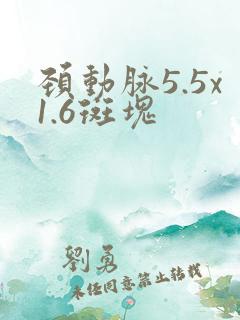 颈动脉5.5x1.6斑块