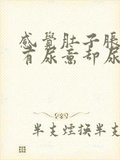 感觉肚子胀胀的有尿意却尿得很少