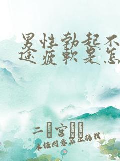 男性勃起不坚中途疲软是怎么回事