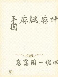 手麻腿麻什么原因