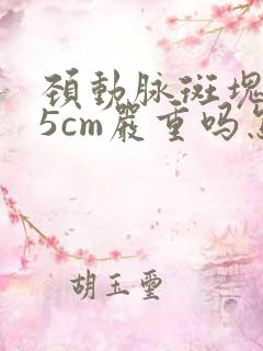 颈动脉斑块1.5cm严重吗怎么治疗