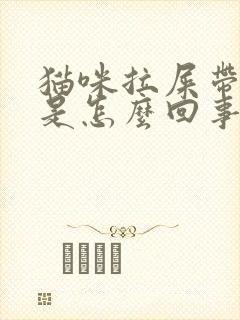 猫咪拉屎带粘液是怎么回事