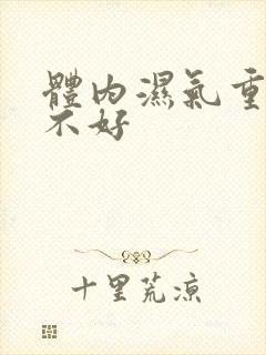 体内湿气重脾胃不好