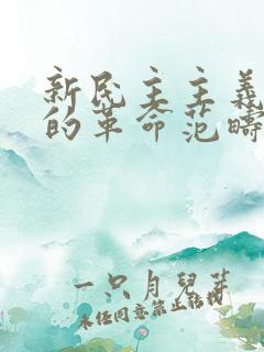 新民主主义革命的革命范畴