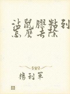 沾鼠胶粘到鞋子怎么去除