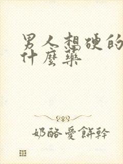 男人想硬的快吃什么药