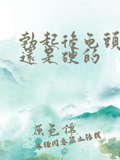 勃起后龟头是软还是硬的