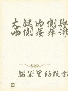 大腿内侧与阴囊两侧瘙痒潮湿用什么药膏