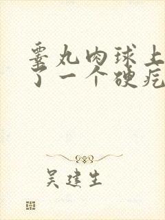 睾丸肉球上面长了一个硬疙瘩