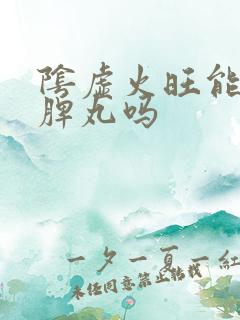 阴虚火旺能吃健脾丸吗