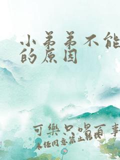 小弟弟不能勃起的原因