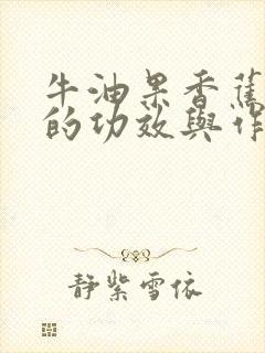 牛油果香蕉酸奶的功效与作用