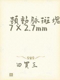 颈动脉斑块8.7×2.7mm