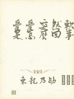 爱爱突然软掉了是怎么回事