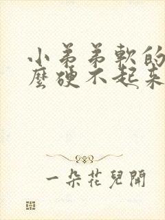 小弟弟软的为什么硬不起来