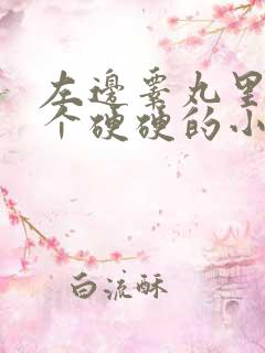 左边睾丸里面有个硬硬的小疙瘩还疼