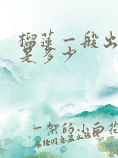 榴莲一般出肉率是多少