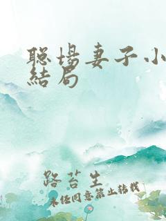 聪场妻子小泽彻结局