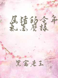 属猪的今年的运气怎么样