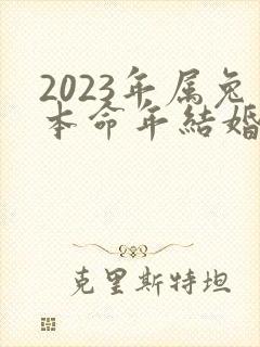 2023年属兔本命年结婚好不好