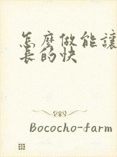 怎么做能让头发长的快